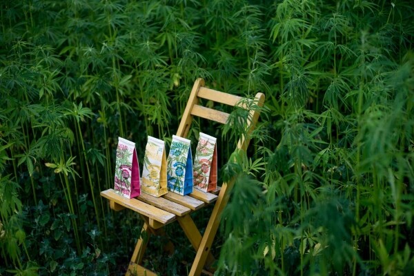 Simply Hemp - Čistý konopný čaj 40 g - Dutch Harvest sypaný čaj