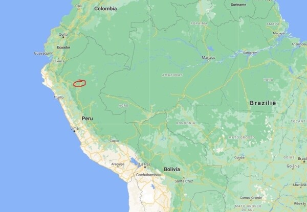 Millésime - Peru Speculoos - 55% mléčná čokoláda