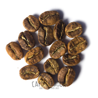 Kávová zrna ve žluto-hnědé fázi