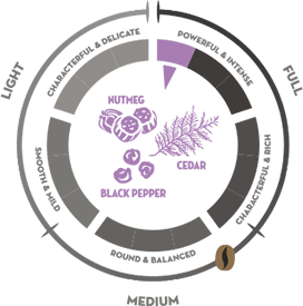 Taste Navigator Piazza d'Oro Intenso